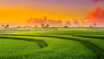  Plot For Sale in Jaypee Sports City, Jaypee Greens Sports City