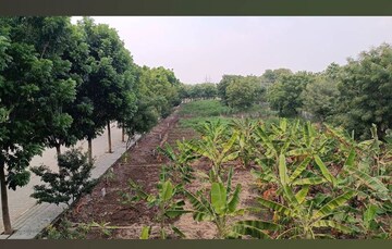 Plot Area in  Plot at Gauribidanur – for Sale