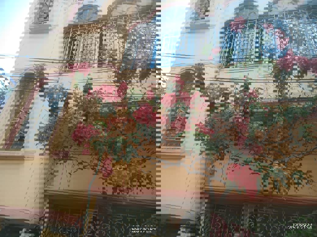 4 BHK + Pooja Room Independent House For Sale in Rajarhat