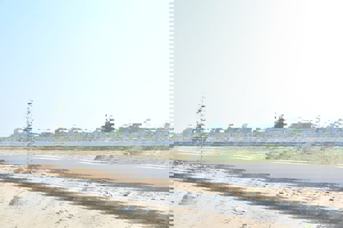 Plot For Sale in Kharar-Kurali Highway