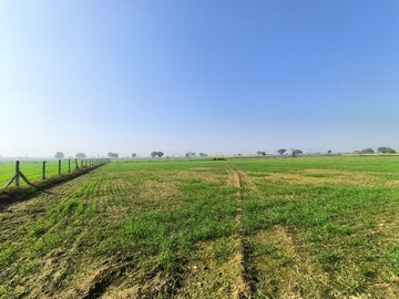 Plot Area in  Land at Pataudi – for Sale