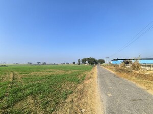 Plot Area in  Land at Pataudi – for Sale