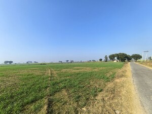 Plot Area in  Land at Pataudi – for Sale