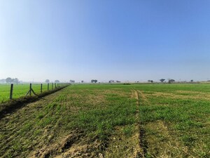 Plot Area in  Land at Pataudi – for Sale