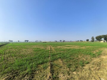 Plot Area in  Land at Pataudi – for Sale