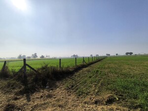 Plot Area in  Land at Pataudi – for Sale