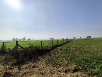 Plot Area in  Land at Pataudi – for Sale