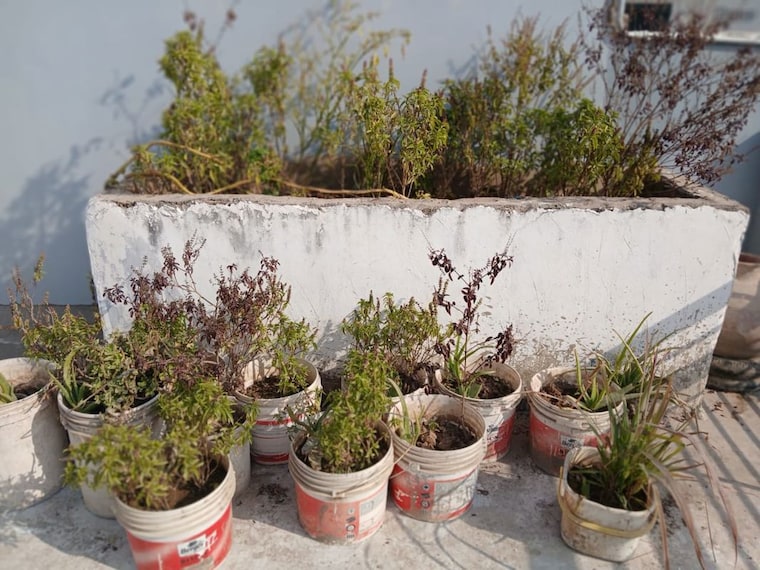 undefined, kaimwala 2 Bedroom 2700 Sq.Ft. Independent House In Kaimwala Chandigarh 9803760