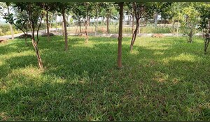  Plot – Garden View at Gauribidanur - for Sale