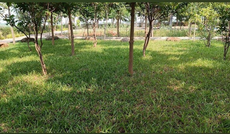 Garden, gauribidanur  1200 Sq.Ft. Plot In Gauribidanur Bangalore 9803798