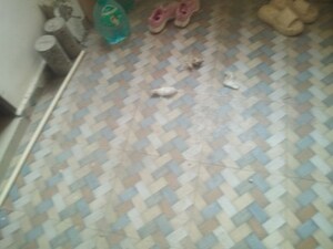 Parking in 2 BHK Apartment at Fasttrack Heavens Life, Katara Hills – for Sale