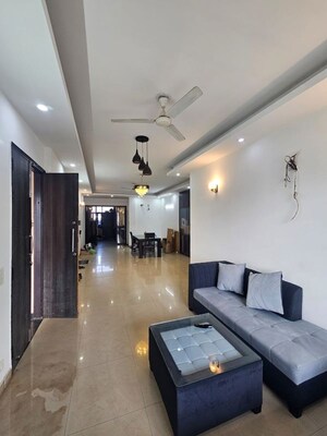3 BHK Builder Floor For Rent in Sector 55