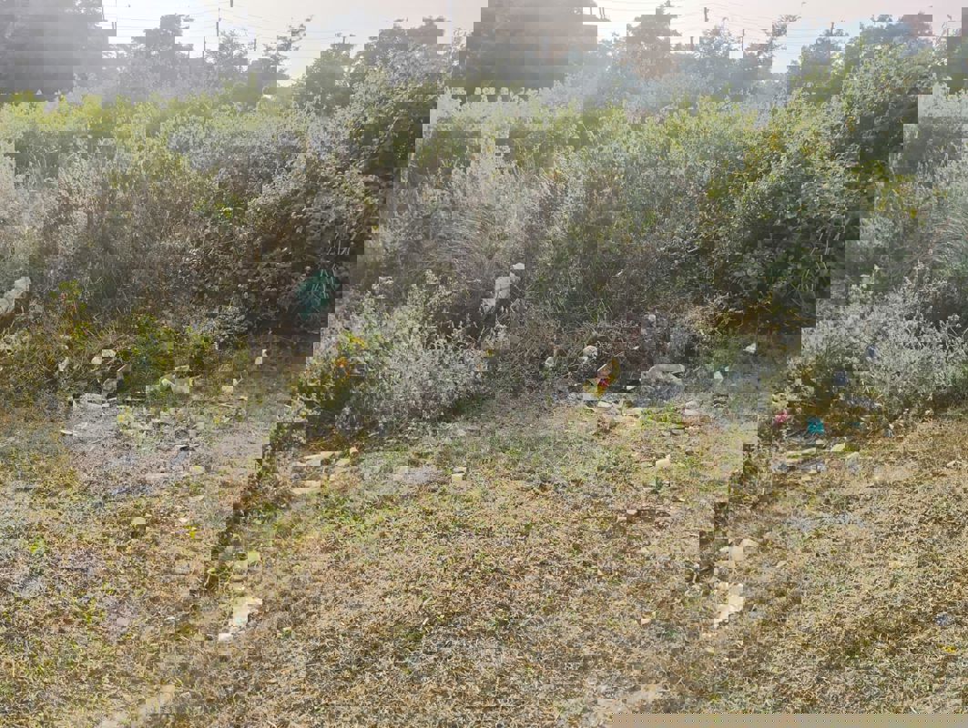 Plot For Sale in Buddhi Vihar