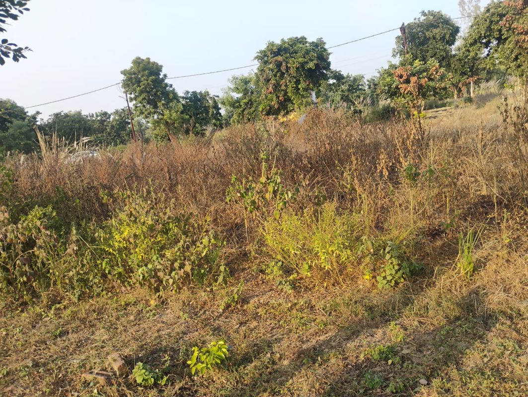 Plot For Sale in Buddhi Vihar