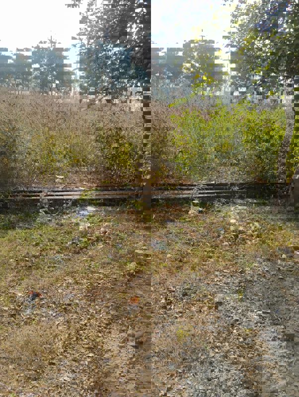 Plot For Sale in Buddhi Vihar