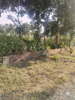 Plot For Sale in New Moradabad