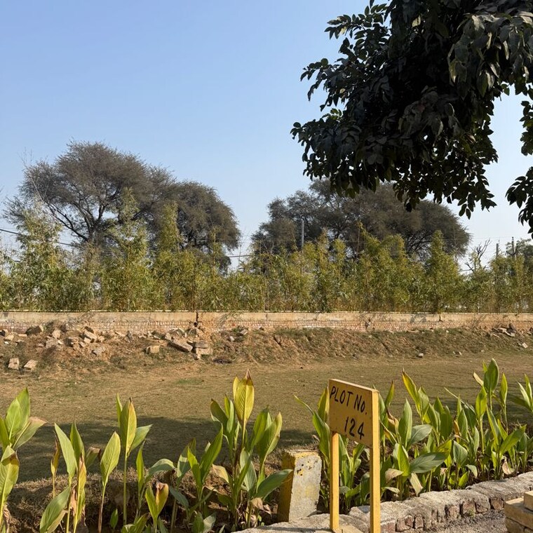 undefined, omaxe-city-omaxe-heights  123 Sq.Yd. Plot In Mangar Faridabad 9804464