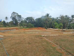 Plot Area in  Plot at Mundur – for Sale