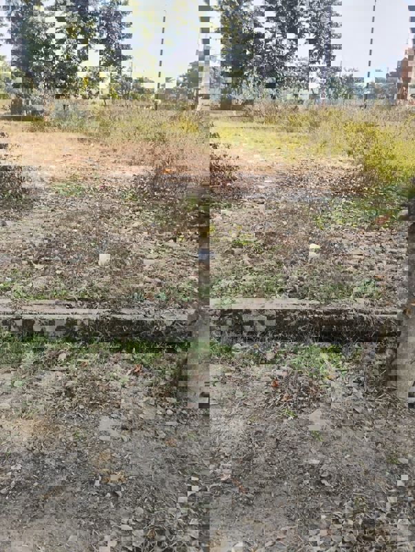 Plot For Sale in New Moradabad