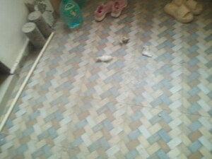 Parking in 2 BHK Apartment at Fasttrack Heavens Life, Katara Hills – for Sale