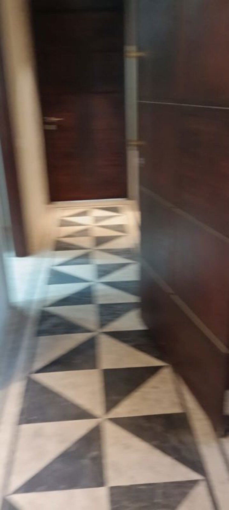 Living Room, sarvodaya enclave 3 Bedroom 217 Sq.Yd. Builder Floor In Sarvodaya Enclave Delhi 9804551