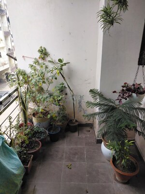 Balcony in 2 BHK Builder Floor at Shri Devaji Residency, Dhakoli – for Rent