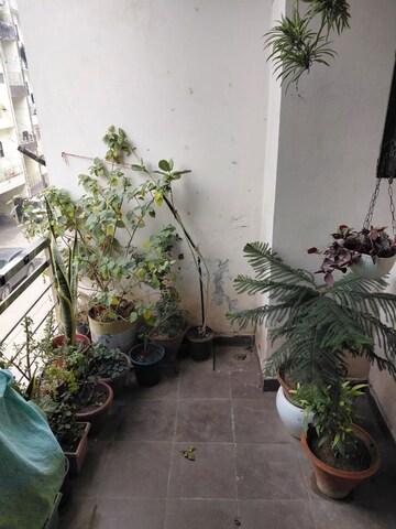 Balcony in 2 BHK Builder Floor at Shri Devaji Residency, Dhakoli – for Rent