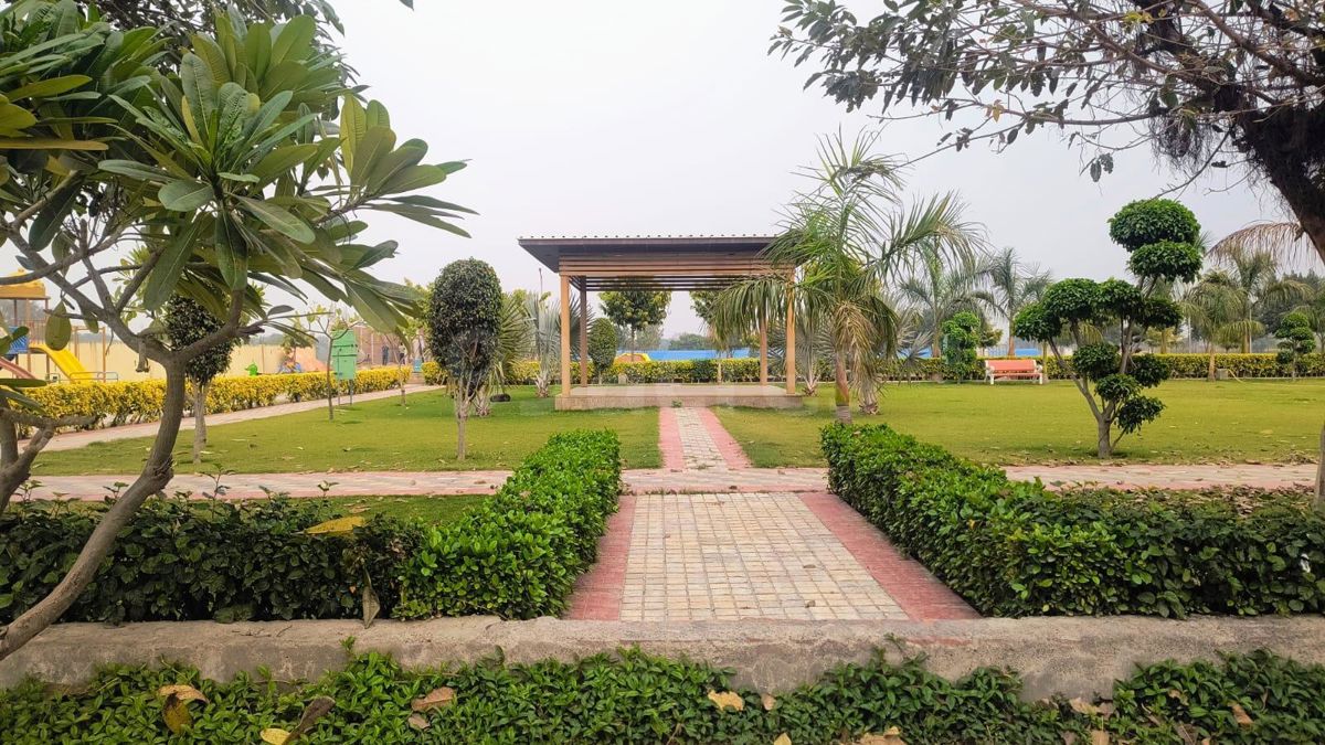 Plot For Sale in Soha Neal City