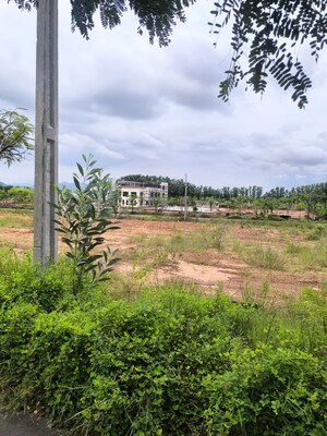  Plot For Sale in Kothavalasa