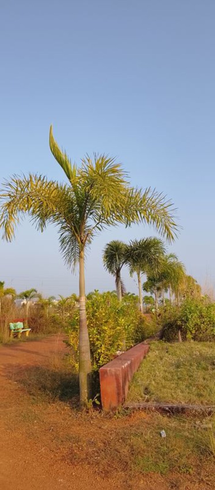 Garden, patrapada  1200 Sq.Ft. Plot In Patrapada Bhubaneswar 9805450