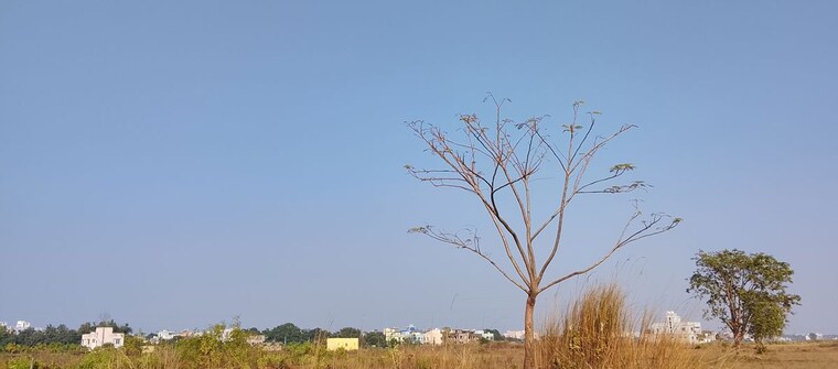 undefined, patrapada  1200 Sq.Ft. Plot In Patrapada Bhubaneswar 9805450