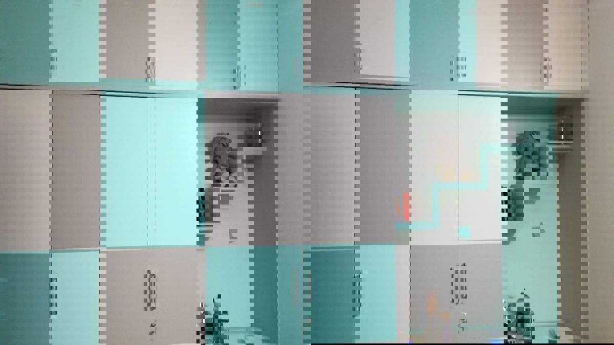 2 BHK 1100 Sq.Ft. Apartment in Shriram Luxor