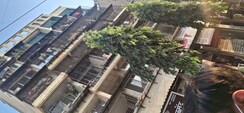 1 BHK Apartment For Rent in Mahape