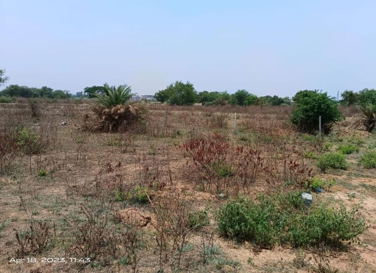 undefined, deopuri  951 Sq.Ft. Plot In Deopuri Raipur 9805821