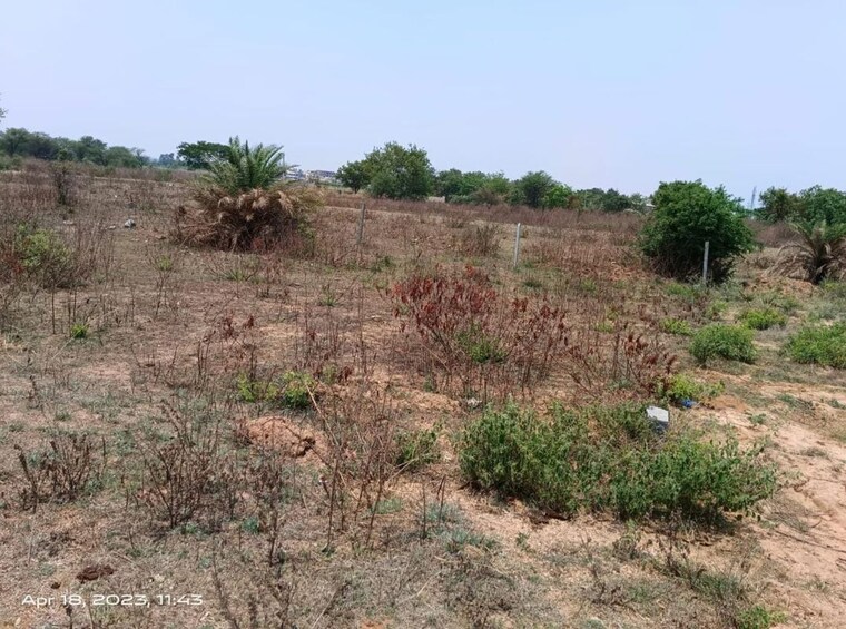 undefined, deopuri  961 Sq.Ft. Plot In Deopuri Raipur 9805824