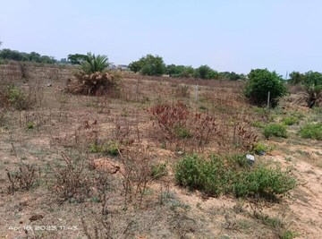 Plot Area in  Plot at Deopuri – for Sale