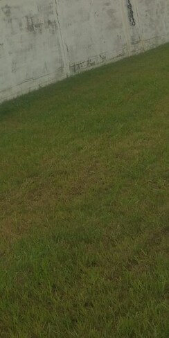 Plot For Sale in Basant City