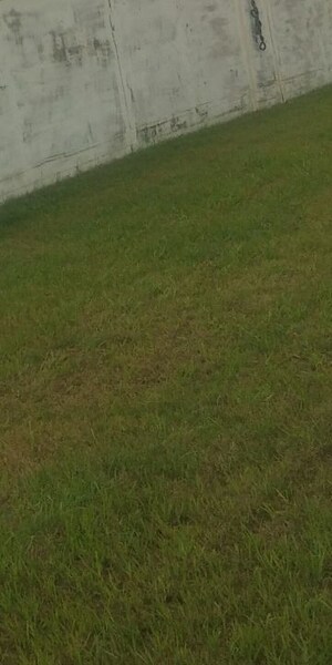  Plot For Sale in Basant City