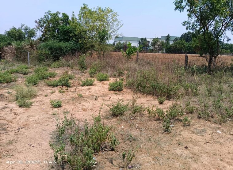 undefined, deopuri  979 Sq.Ft. Plot In Deopuri Raipur 9805828