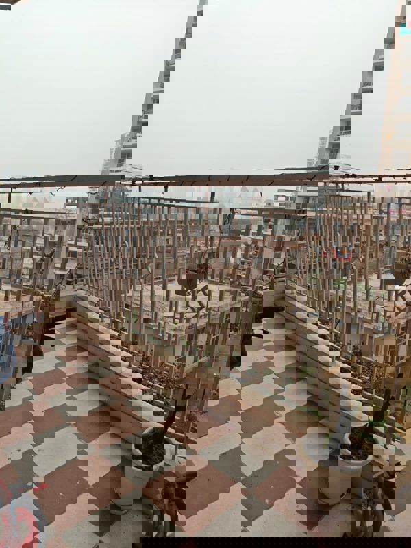 1.5 BHK 320 Sq.Ft. Apartment in Shree Vardhman Green Court