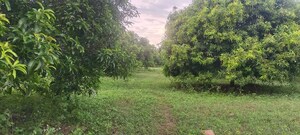 Plot Area in  Plot at Atul Nagar – for Sale