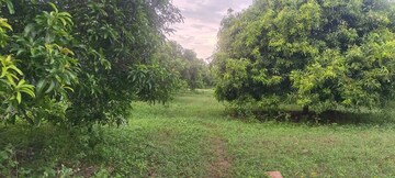 Plot Area in  Plot at Atul Nagar – for Sale