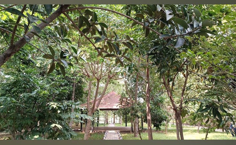Garden, gauribidanur  1200 Sq.Ft. Plot In Gauribidanur Bangalore 9806484