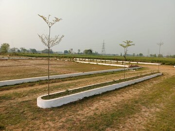 Plot Area in  Plot at Bodhgaya – for Sale