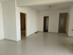 3 BHK Apartment For Rent in Tulip Violet