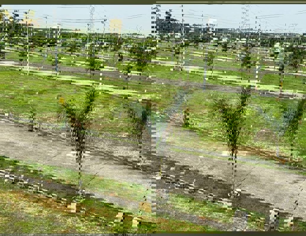 Plot For Sale in Kolar