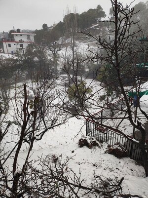 Plot Area in  Plot at Kumarhatti – for Sale