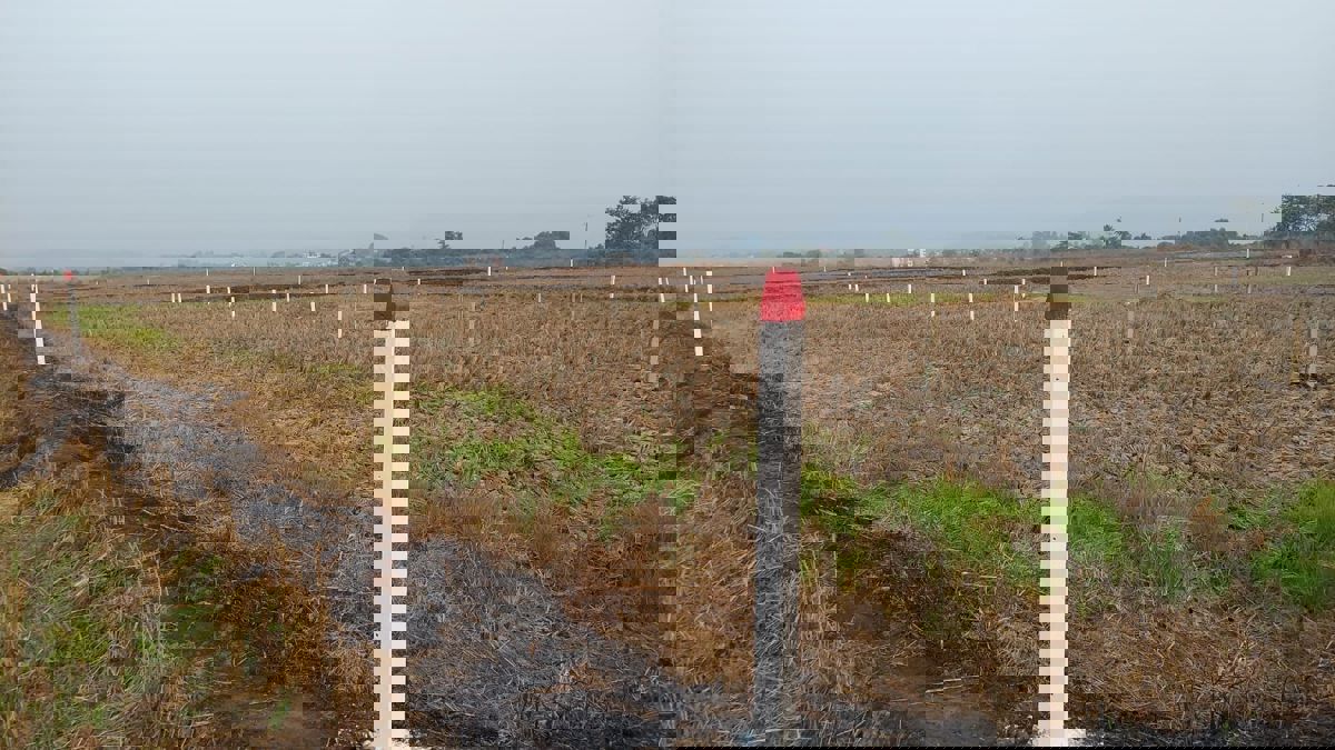 Plot For Sale in Maruti Kunj