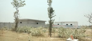  Plot For Sale in Yamuna Expressway