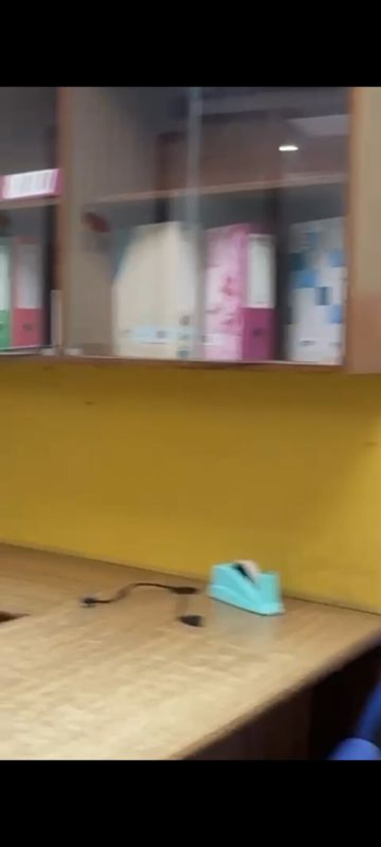 Floor Plan, netaji subhash place Commercial Office Space 850 Sq.Ft. In Netaji Subhash Place Delhi 9807461